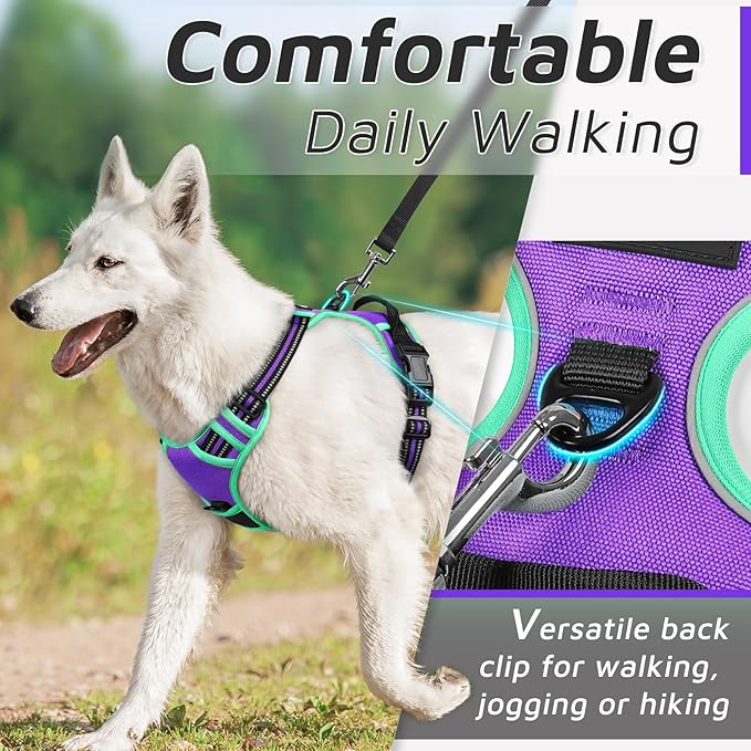 Eagloo Dog Harness for Large Dogs, No Pull Service Vest with Reflective Strips and Control Handle, Adjustable and Comfortable for Walking, No Choke Harness with 2 Metal Rings, Purple & Green, M
