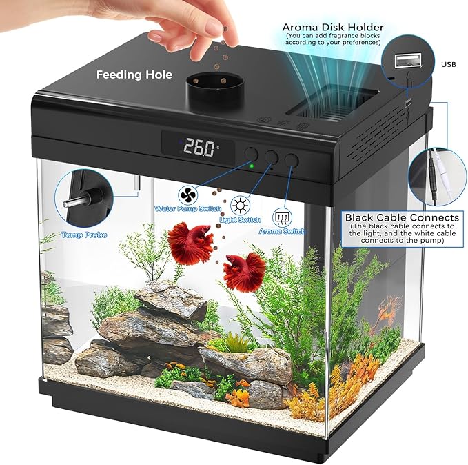 AQQA 3.7 Gallon Aquarium Starter Kit Small Glass Fish Tank with Filter and Light (10 Colors Adjustable) Desktop Self-Cleaning Betta Fish Tank Kit Office & Home Decor Idea (Black)