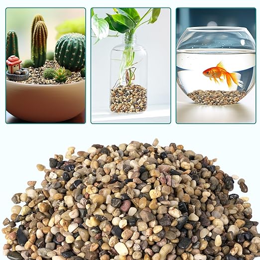 5 lbs Small Rocks for Plants, 1/5 Inch Gravel for Plants Drainage, Decorative Potting Pebbles for Indoor Plants, Vases, Bamboo, Succulent, Terrarium, Crafts, Cactus