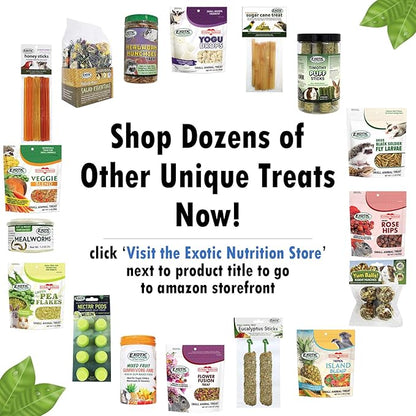 Flower Fusion Treat - Healthy Natural Dried Flower Herbivore Treat - Chinchillas, Guinea Pigs, Rabbits, Prairie Dogs, Degus, Hamsters, Rats, Squirrels, Sugar Gliders & Other Small Pets (0.85 oz)