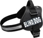 Doggie Stylz Blind Dog Harness No Pull No Escape Dog Vest for Blind Dogs Adjustable Vest with Handle Blind Dog Accessories and Patches for Training and Mobility