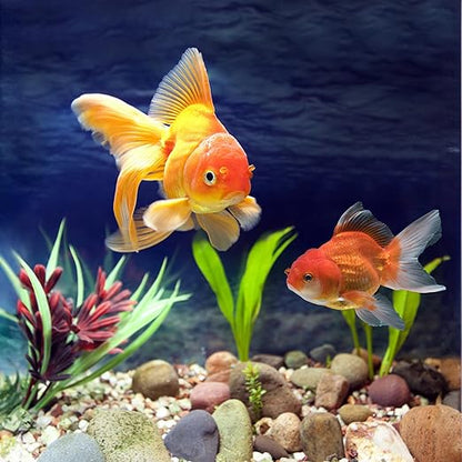 40lbs Large River Rocks for Landscaping, 3-4 Inch Natural Unpolished Bulk Pebbles, Hand-Picked Premium Stones for Garden Design Fish Tank, Flower Pots, Pathways and Backyard, Mixed Color