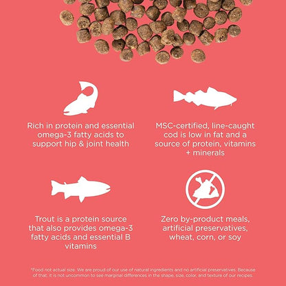 Go! Solutions Carnivore, Grain-Free, Protein Rich Dry Cat Food, Salmon and Cod Recipe, 8 lb Bag