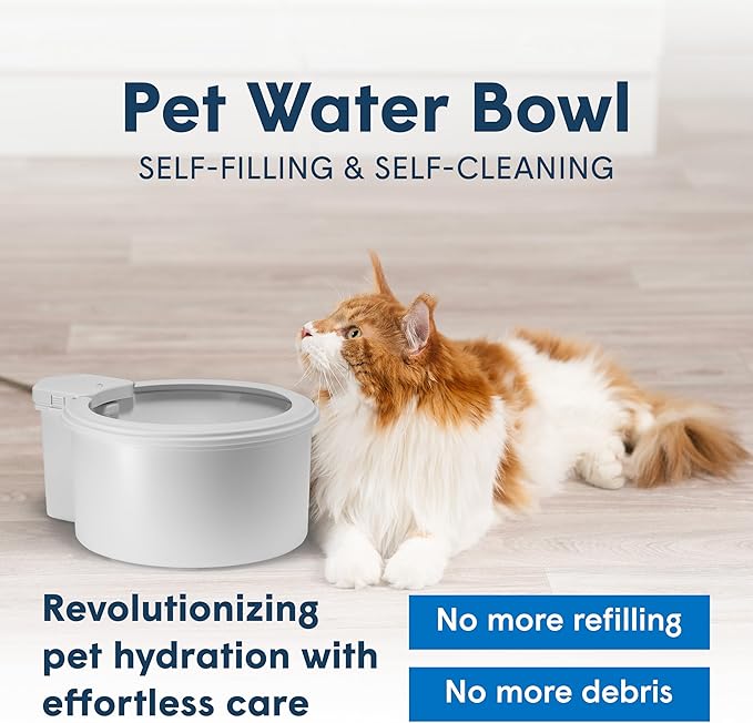 Always Full® 7" Pet Water Bowl and Bottle Pump Bundle, Self-Refilling, Clean Filtered Water, App-Enabled Hydration Monitoring, Easy Upgrade to Wall Unit, Cat and Dog Water Bowls