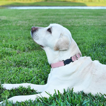 Dogline Biothane Waterproof Dog Collar with Herm Sprenger Stainless Steel Quick Release Buckle – Heavy Duty Tactical Durable Collar for Dogs – Comfortable and Safe Pet Collar, W 3/4" L 12-19", Pastel