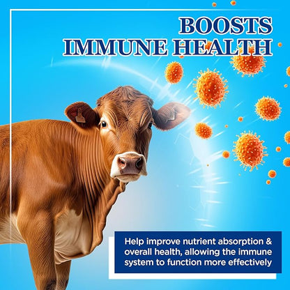 Equerry's Large Animal Probiotic | Supplements for Gut Health and Nutrient Absorption | Probiotics and Digestive enzymes for Horses, Cows, Goats, Sheep, Pigs, 160 Feedings (20lbs) for 1000 lb Animal