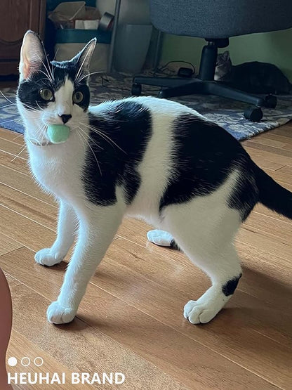 80-Pack Cat Toy Balls 10 Assorted Colors 1.25 Inch Diameter Suitable for All Cat Sizes (Cat Toys Value Pack)