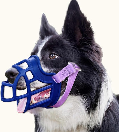 Dog Muzzle, OKKIC Basket Muzzle Anti Biting Chewing, Sturdy Lightweight Muzzle Allows Panting Drinking,Muzzle for Small Medium Large Dogs, Suitable for Grooming Trimming Training (Blue, Size3)
