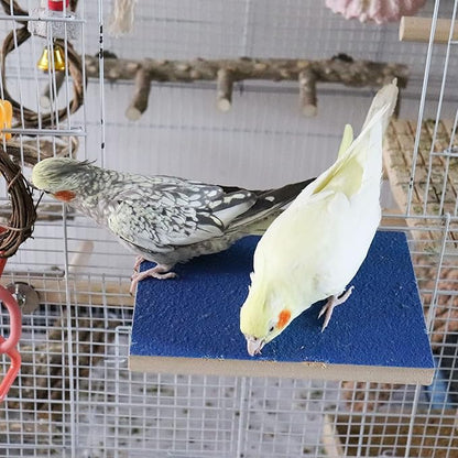 7.9×5.9 Inches Large Bird Perch Stand Platform, Natural Wooden Bird Cage Accessories, Bird Stand Perch with Rough Quartz Sand Surface for Parrot, Parakeet, Budgies, Cockatiel, Rats