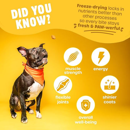 Freeze Dried Dog Treats - Wild Caught Salmon - Dog Food Dry Snacks - with Protein & Omega 3s - for All Breeds & Sizes - No Artificial Flavors & Dyes, No Preservatives - 1 Pouch, 4 oz