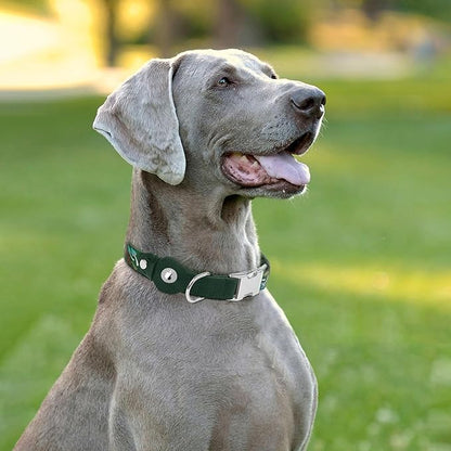 AirTag Dog Collar for Small Medium Large Breed - Adjustable Cute Pattern Dog Collar with Airtag Holder - Soft Leather Tracker GPS Apple Air Tag Pet Collars (X-Small, 9"-12" Neck Fit, Mushroom)