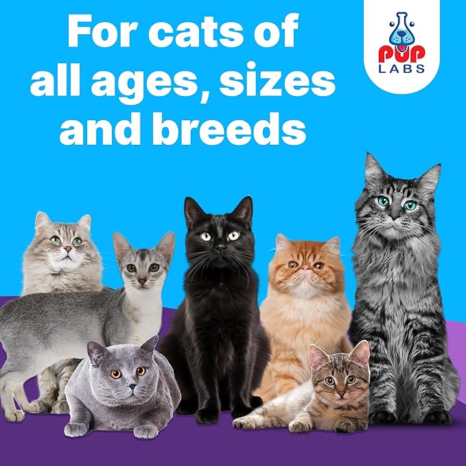 Freedom Joint Drops for Cats with Hyaluronic Acid, MSM, Glucosamine, & Chondroitin, All Natural Cat Joint Supplement for Mobility, Powerful Glucosamine for Cats, Cat Pain Relief, 30ml Dropper