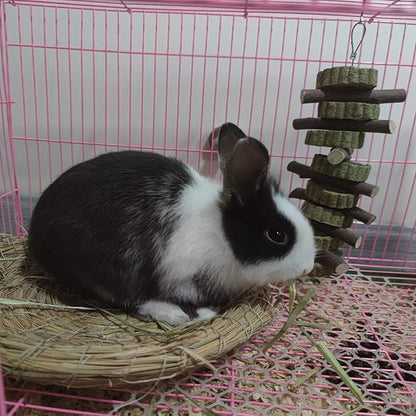 Generic Rabbit Bunny Treat Hamster Chew Toys Grass Cakes Heart Shaped Chew Toys Pets Treats for Bunny Rabbits Hamster Chinchilla Guinea Pigs 2Pcs