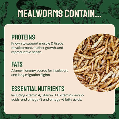 Dried Mealworms - 2 Lb Bag - High Protein Chicken Feed, Mealworms for Birds & Chickens - Meal Worms for Wild Birds & Turtles