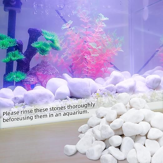 2LB 1"-2" White River Rocks for Plants, Polished Pebbles for Garden Landscaping, Planters, Aquariums, Vase Fillers – Indoor & Outdoor Decor