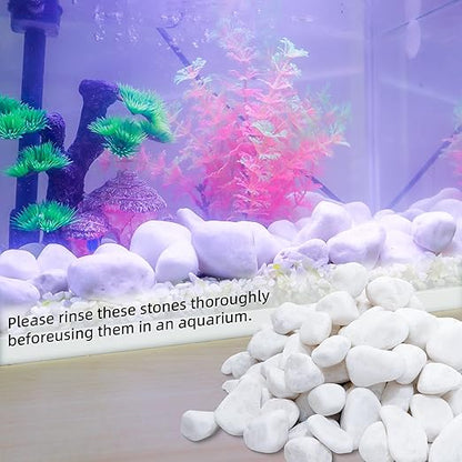 2LB 1"-2" White River Rocks for Plants, Polished Pebbles for Garden Landscaping, Planters, Aquariums, Vase Fillers – Indoor & Outdoor Decor