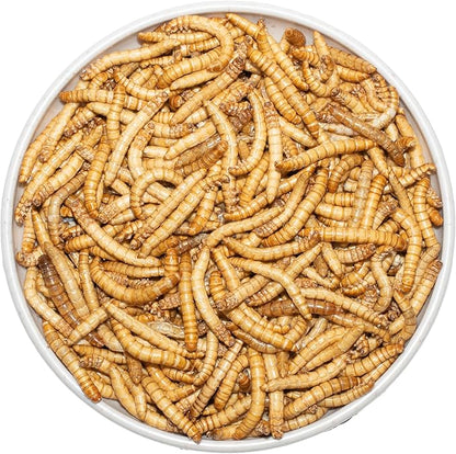 Freeze Dried Mealworms 6 Oz - High Protein Pet Food for Reptiles, Bearded Dragons, Birds & Hedgehogs - Nutrient-Packed Treat for Lizards, Geckos, Turtles, Chickens