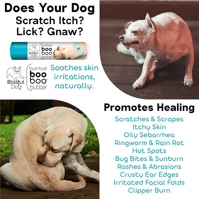 English Toy Spaniel Boo Boo Butter, 8 oz