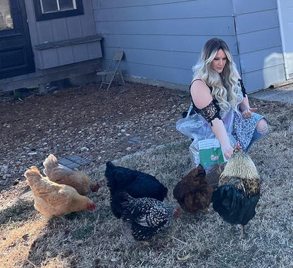 10lbs Dried Mealworms - Premium Non-GMO Chicken Feed, Nutritious High Protein Meal Worms- Food and Treats for Laying Hens, Wild Birds, Ducks, Chicken