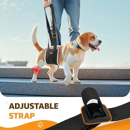 Adjustable Dog Lift Harness, Dog Sling for Large Dogs Lift Support and Rehab Harness for Weak Rear Legs, Soft Hind Leg Support Helps Senior, Injured, Disabled and After ACL Surgery Dogs(Black,Medium)
