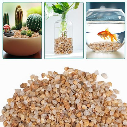 5 lbs Coarse Sand for Plants, 1/5 Inch Horticultural Sand for Vases, Aquariums, Terrarium, Fish Tank, Drainage Rocks for Potted Plants, Bamboo, Succulent, Crafts, Cactus