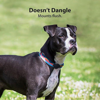 Elevation Lab TagVault™ Compact AirTag Dog Collar Mount - IP68 Waterproof, Doesn't Dangle, Fits All Width Collars