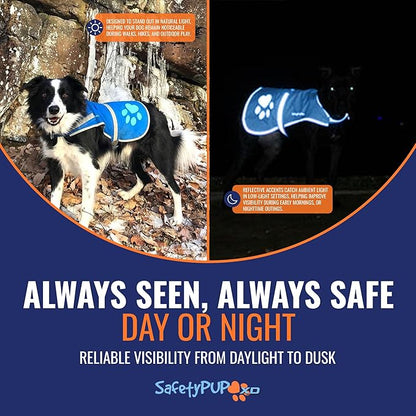 Dog Reflective Vest – Hi-Vis Fluorescent Visibility That Helps to Safeguard Your Pet On/Off Leash in Urban & Rural Areas (Blue, X-Small)