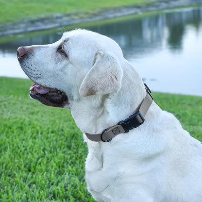 Dogline Biothane Waterproof Dog Collar with Quick Release Buckle Strong Coated Nylon Webbing with Odor- Proof for Easy Care Easy to Clean Fits Small Medium Large Dogs, Grey 5/8" W 9-14" L