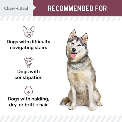 12-in-1 Multivitamin for Senior Dogs - 60 Senior Dog Vitamin and Supplement Soft Chews for Hip and Joint - Advanced Formula with Glucosamine, Omega 3,6,9, Vitamins, Probiotics - Made in The USA