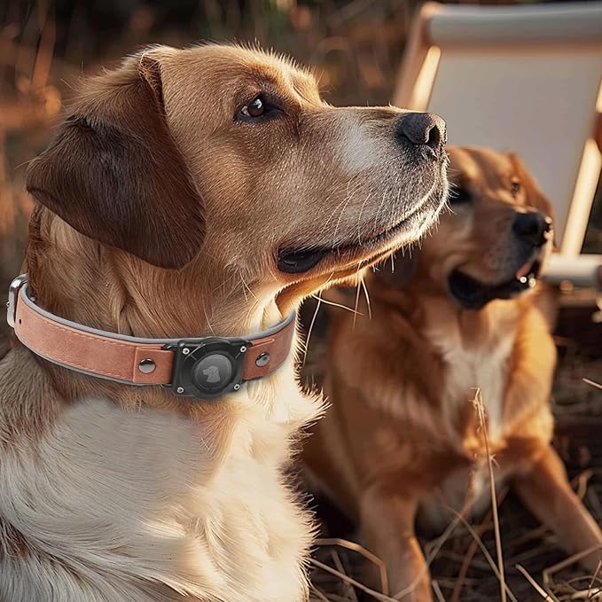 AirTag Dog Collar - Leather Dog Collar with Air Tag Holder | IPX8 Waterproof, Reflective, High - End, Adjustable Soft Padded | Dog GPS Tracker Collars Fit for Medium Large Dogs (Mahogany Brown, XL)