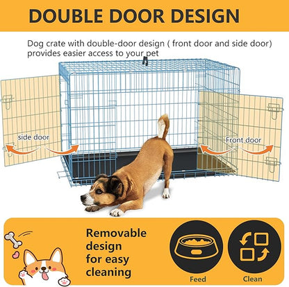 FDW Dog Crate for Medium Dogs 36 Inch Folding Metal WirePet Cage Double Door W/Divider Panel Indoor Outdoor Kennel Leak-Proof Plastic Tray,Blue