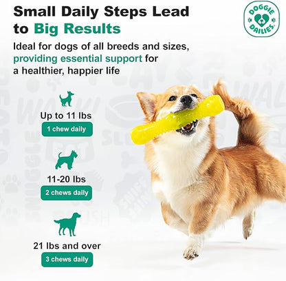 Doggie Dailies Puppy Probiotic, Probiotics for Puppies with Digestive Enzymes, Promotes Digestive Health, Supports Immune System & Overall Development (Pumpkin) 120 Soft Chews