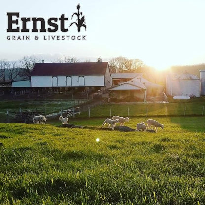 Ernst Grain & Livestock's Bird and Wildlife Feed – Perfect for Birds, Ducks, Squirrels, Turkeys, Rabbits, Geese, and Deer – Non-GMO Wild Animal & Bird Feed for Outside Feeders (46 Pounds)
