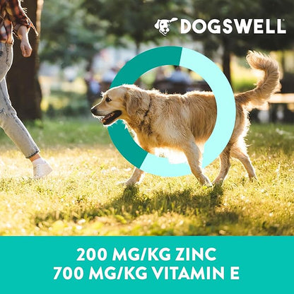 DOGSWELL Jerky Treats for Dogs, Skin and Coat Salmon Recipe 18 oz., 29235