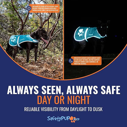 Dog Reflective Vest – Hi-Vis Fluorescent Visibility That Helps to Safeguard Your Pet On/Off Leash in Urban & Rural Areas (Teal, Large)