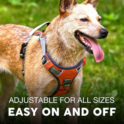 Embark Adventure Dog Harness, Reflective Trim XL Dog Harness for Extra Large Dogs No Pull - Military Grade Nylon, 2 Leash Clips & Gel Lined Handle.
