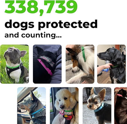 FurLife Flea and Tick Collar for Dogs – Waterproof Blue Dog Collar, Pet Supplies for Tick and Flea Prevention for Dogs, Safe for All Breeds