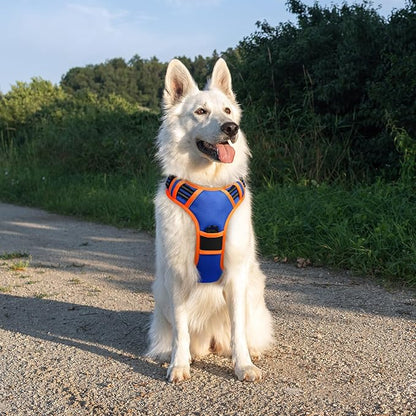 Eagloo Dog Harness for Large Dogs, No Pull Service Vest with Reflective Strips and Control Handle, Adjustable and Comfortable for Walking, No Choke Pet Harness with 2 Metal Rings, Blue & Orange, XL