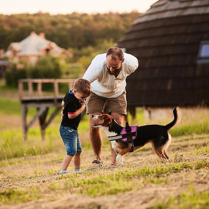 Dogline Dog Harness, Reflective No-Pull Adjustable Vest with Handle for Walking, Training, Breathable, No - Choke Harness for Small, Medium or Large Dogs Room for Patches Girth 22"-28" in Pink