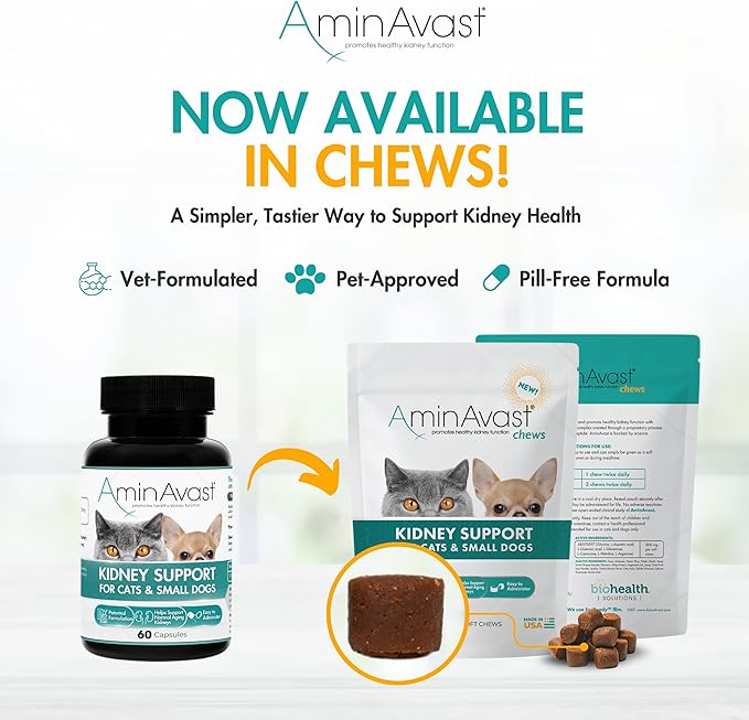 AminAvast Small Dogs & Cat Kidney Support - Promotes Healthy Kidney Support in Cats & Small Dogs - 300mg, 60 Capsule