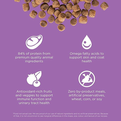 Go! Solutions Carnivore, Grain-Free, Protein Rich Dry Cat Food, Chicken, Turkey and Duck Recipe, 3 lb Bag