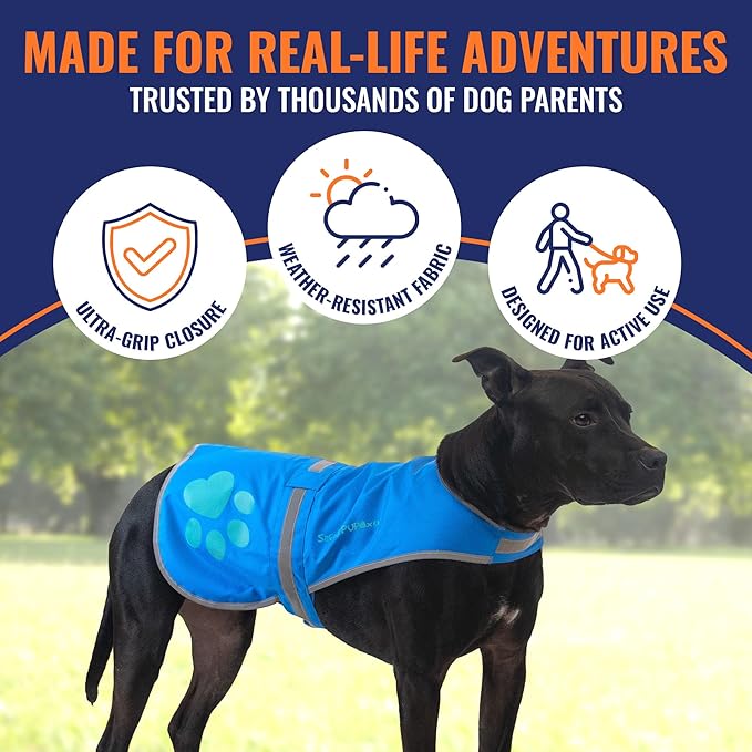 Dog Reflective Vest – Hi-Vis Fluorescent Visibility That Helps to Safeguard Your Pet On/Off Leash in Urban & Rural Areas (Blue, X-Large)