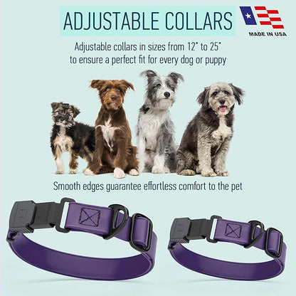 Dogline Biothane Waterproof Dog Collar with Herm Sprenger Stainless Steel Quick Release Buckle – Heavy Duty Tactical Durable Collar for Dogs – Comfortable and Safe Pet Collar, W 3/4" L 12-19", Purple