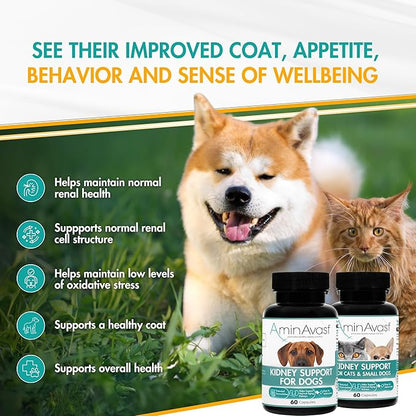 AminAvast Small Dogs & Cat Kidney Support - Promotes Healthy Kidney Support in Cats & Small Dogs - 300mg, 60 Capsule