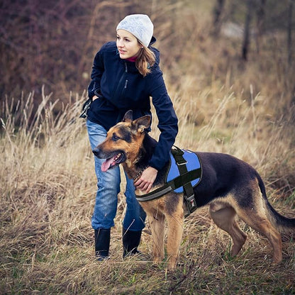 Dogline Dog Harness, Reflective No-Pull Adjustable Vest with Handle for Walking, Training, Breathable, No - Choke Harness for Small, Medium or Large Dogs Room for Patches Girth 33"-46" in Cyan Blue