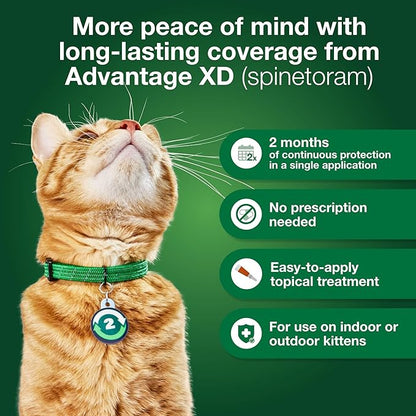 Advantage XD Large Cat Flea Prevention & Treatment For Cats over 9lbs. | 2-Topical Doses, 2-Months of Protection Per Dose