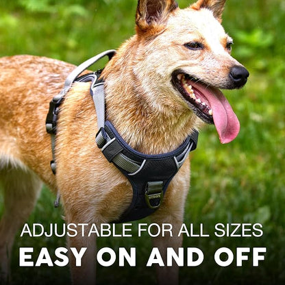 Embark Adventure Dog Harness, No-Pull Reflective Trim Dog Harness for Small, Medium & Large Dogs - Military Grade Nylon, 2 Leash Clips & Gel Lined Handle. Soft & Padded Puppy Dog Vest for Any Breed
