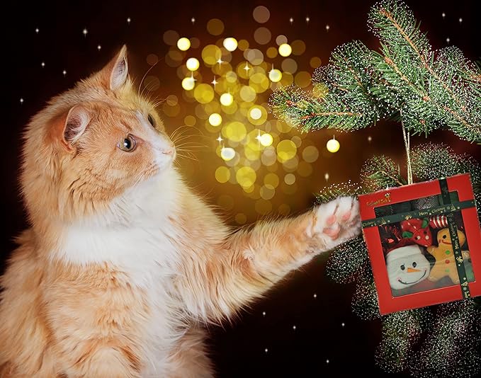 Fashion's Talk Holiday Festive Red Variety Pack Gift Box Cat Toy with Catnip, Box 20 Count