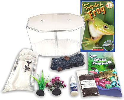 African Dwarf Frog Starter Kit- Includes Certificate for 2 Live Frogs- All-in-One Bundle with Book, Small Aquarium, Food, Instructions Now