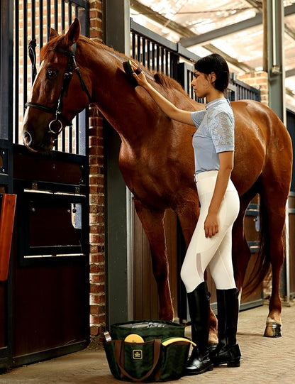 9PCS Horse Grooming Kit Curry Comb Sweat Scraper Horse Bathing Supplies Grooming Tools with Storage Bag Pasture Glow